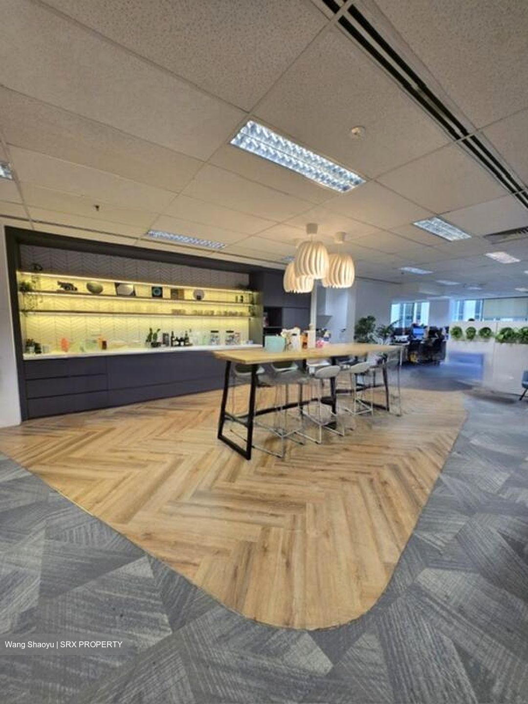 Ngee Ann City (D9), Office #453774271